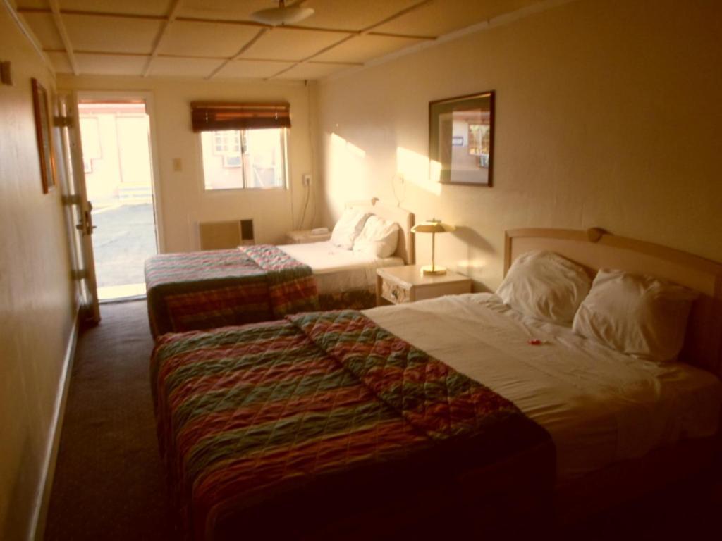 Desert Moon Motel Las Vegas Ruang foto